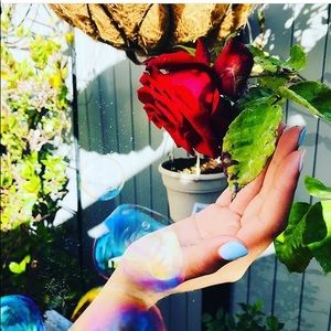 Meet your Posher, Sofia